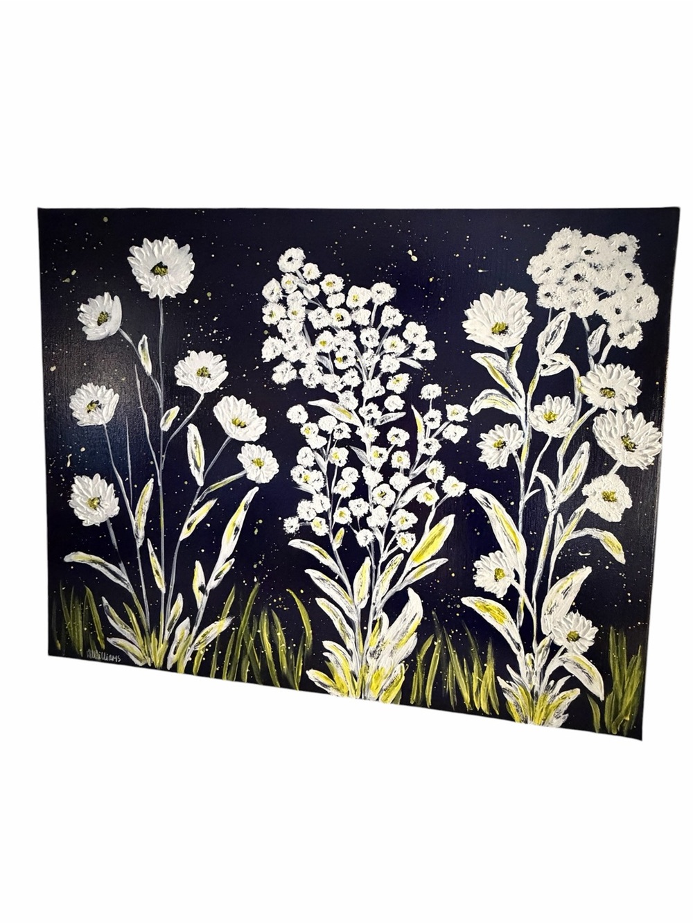 Original Artwork Acrylic’s On Canvas Textured Blooms against Black Lrg 28" x 22"